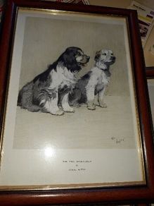 Famous antique Dog illustrations