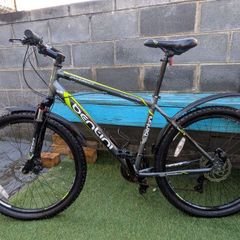 bentini diablo 26 inch mountain bike