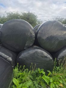 Silage bales