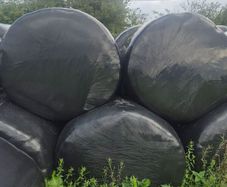 Silage bales
