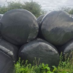 Silage bales