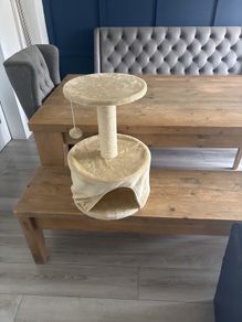 cat bed and toy free