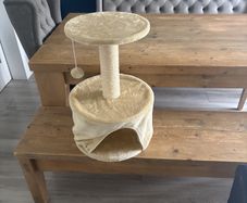 cat bed and toy free