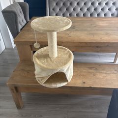 cat bed and toy free