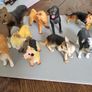Dog collection plastic Image 3