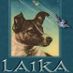 Laikaexports