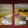 Children of the Famine Trilogy-Under the Hawthorn Tree Book 1-Fields of Home Book 3 Image 2