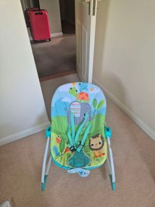 baby bouncer