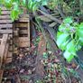Firewood Image 3