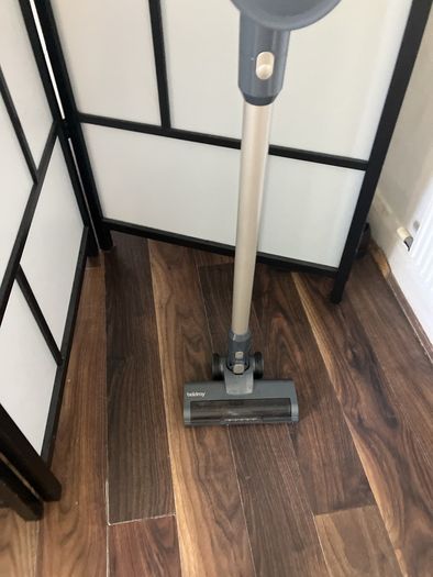 Beldray hoover