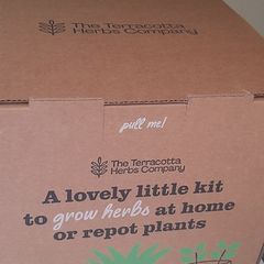 Herbs 'Grow Your Own' Terracotta Pots