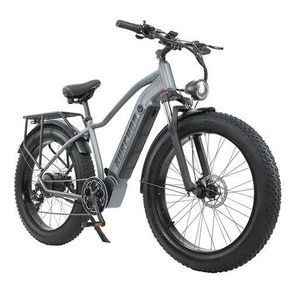 Burchda RX50 Electric Bike