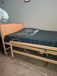 Free Orthopedic Electric Bed