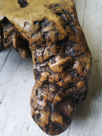 American Redwood Burl