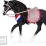 Lori Black Irish Draught Horse Image 6