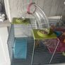 hamster cage good condition used Image 5