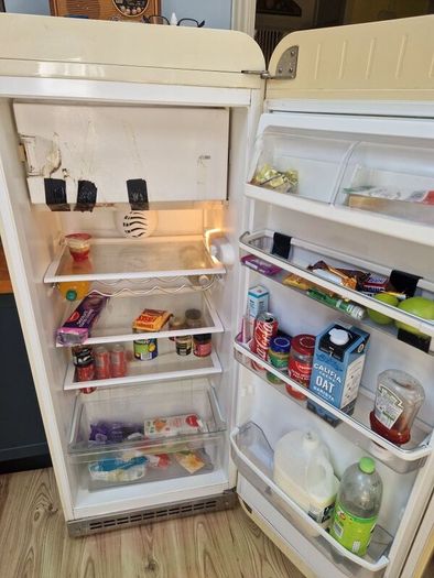 Smeg Fridge