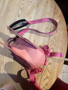 Littlelife butterfly toddler bag and harness