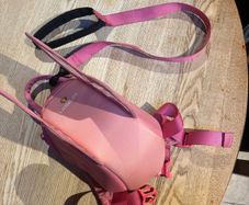 Littlelife butterfly toddler bag and harness