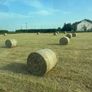 Hay for sale Tipperary Thurles/Templemore area Image 6