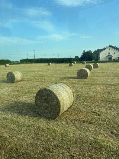 Hay for sale Tipperary Thurles/Templemore area