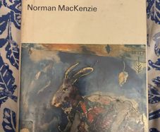 Rare Vintage Dreams and Dreaming Book