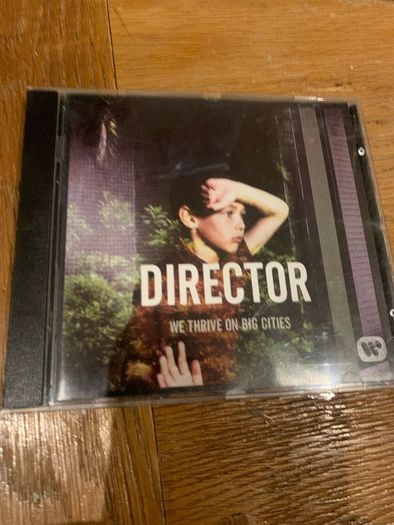 Director - We Thrive on Big Cities