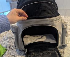 Sightseer Backpack Pet Carrier