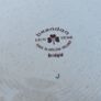 Arklow Pottery Rare Bridgid Pattern Plates x 2 Image 4