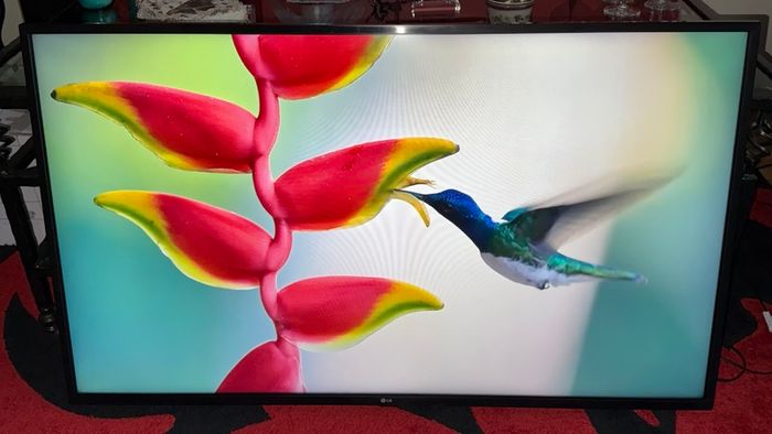 LG 50-inch 4K Ultra HD Smart TV