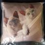 Cute Cats Cushion Image 2