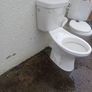 toilets Image 5