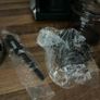 Sage Smart grinder Image 4