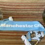 Manchester City scarf Image 3