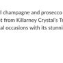 Killarney Crystal Ice Bucket Image 3