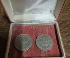 Irish Millenium Punt coin 2000 and 1988 50p