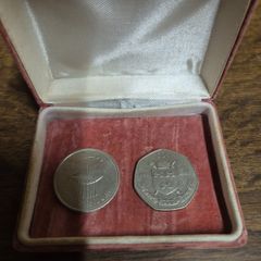 Irish Millenium Punt coin 2000 and 1988 50p