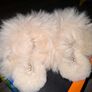 Genuine UGG slippers Image 7