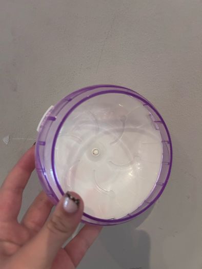 Hamster starter kit