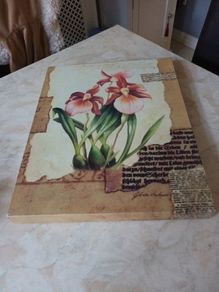 Canvas   Picture.  Size. 50cm x 20cm.   In Good Condition  - No damage.