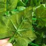 15 x Great Long Silk Ivy Garlands - 37mtrs / 121ft Image 9
