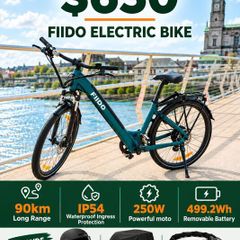 FIIDO C11 Electric Bike