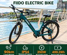 FIIDO C11 Electric Bike