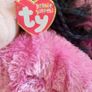 Beanie Bopper TY (1049) Image 3