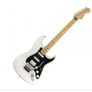 gibson Image 2