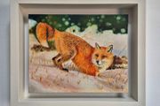 Red fox -oil paint - framed