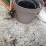 plant pots Image 7