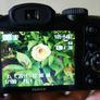 Fujifilm FinePix S2950 14MP Digital Bridge Camera Image 2