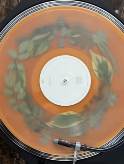 Dermot Kennedy "The Weight Of The Woods" Vinyl - Limited Woodland Green Edition LP - Rare 180g Collectible - Irish Indie-Pop Exclusive