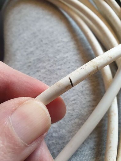 Digital Temperature Thermostat and 10metre Soil Heating Cable